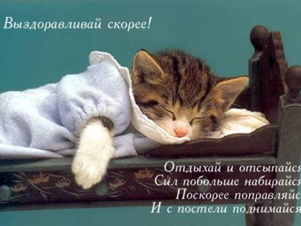 Пожелание выздоровления в картинках