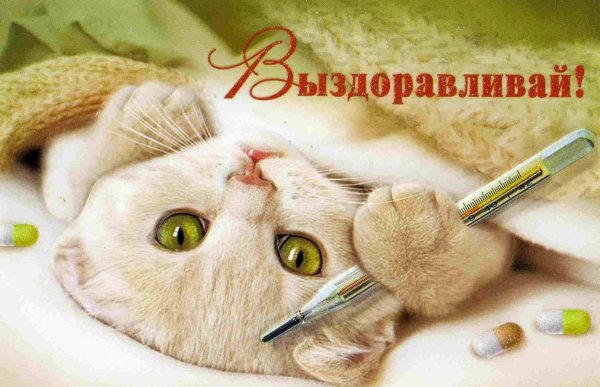 Открытка выздоравливай