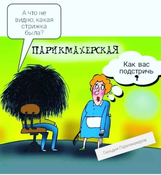 Приколы про парикмахеров