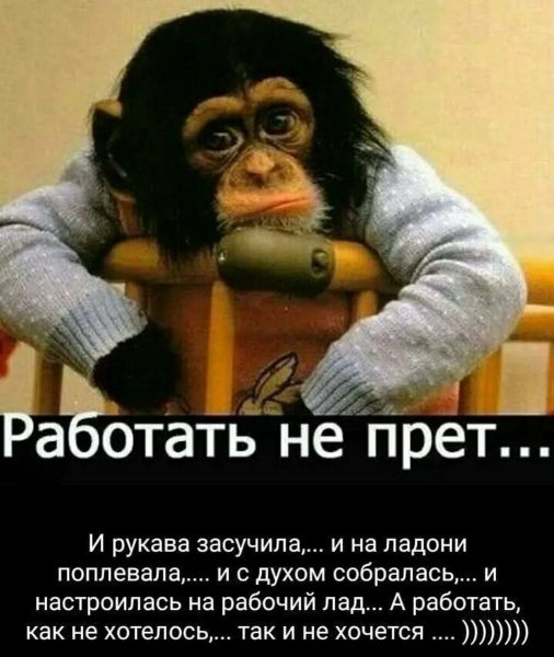 Про работу смешные