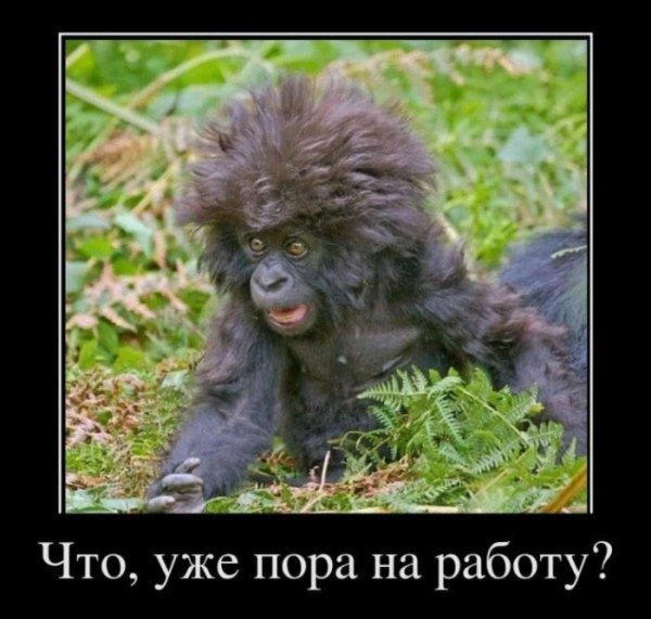 Завтра на работу прикол