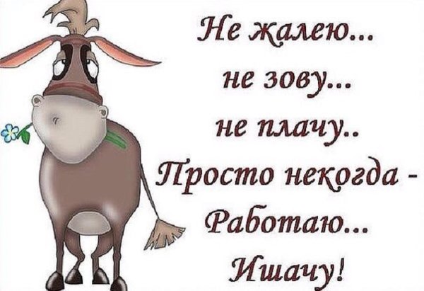 Прикольные высказывания про работу