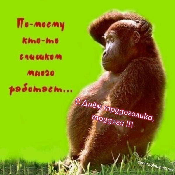 Открытка хватит работать
