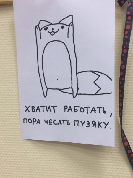 Кот хватит работать