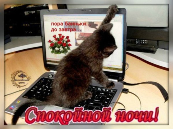 Гасим компьютер и спать