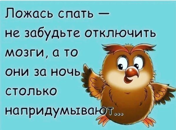 Спать картинки прикольные