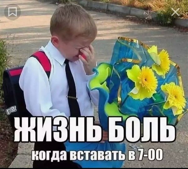 1 Сентября приколы