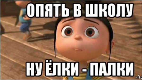 Каникулы закончились снова в школу