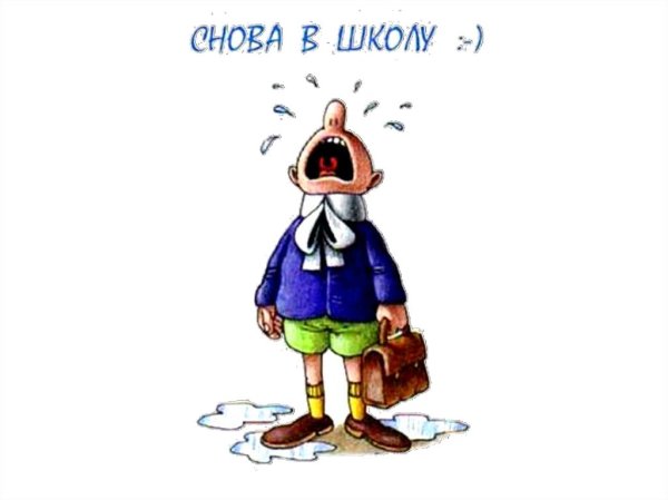 Сова школа