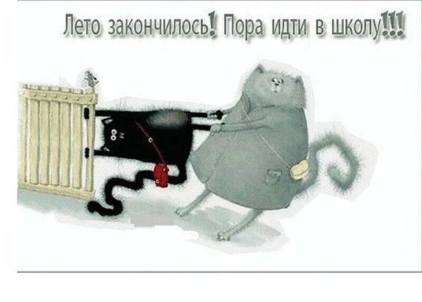 Открытки с 1 сентября прикольные