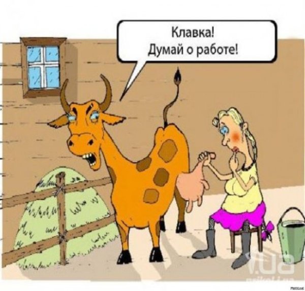 Юмор про работу