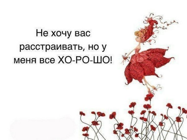 Веселые цитаты в картинках