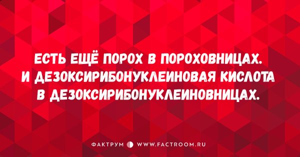 Есть ещё порох в пороховницах картинки