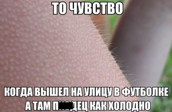 Мурашки Мем