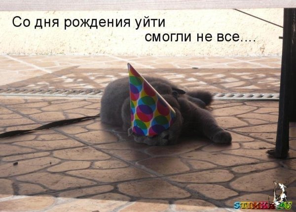 День рождения удался