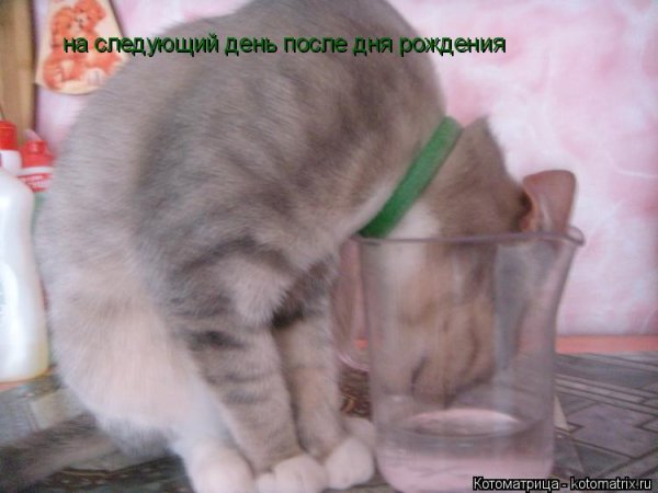 Открытки после дня рождения прикольные