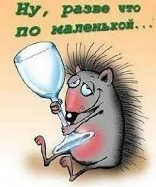 Смешные открытки с днем рождения
