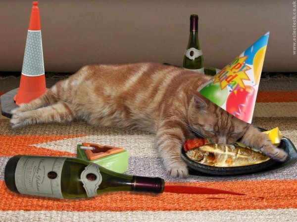 С днём рождения с котиками