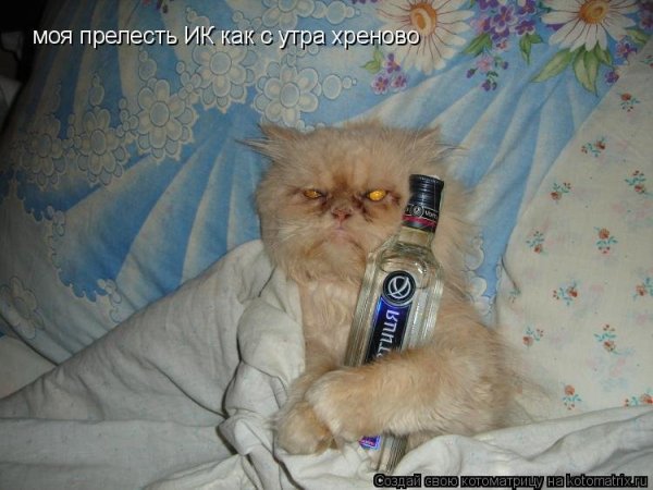 Утром после дня рождения