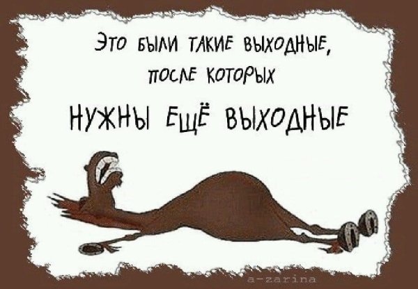 Афоризмы про выходные
