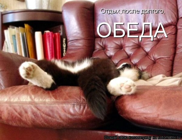Хорошего отпуска на диване