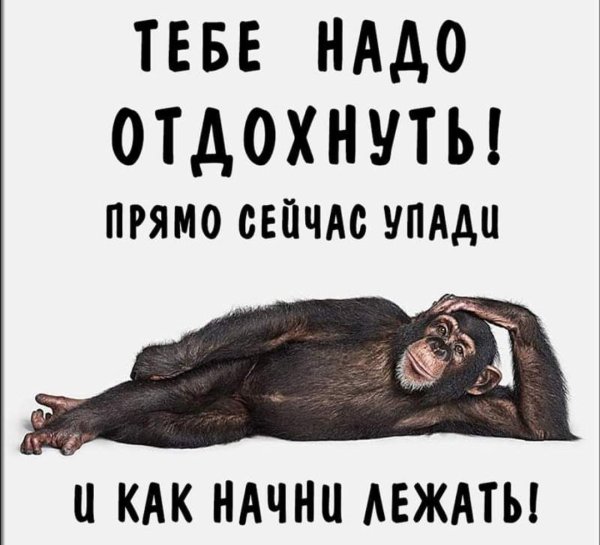 Отдыхаю прикол
