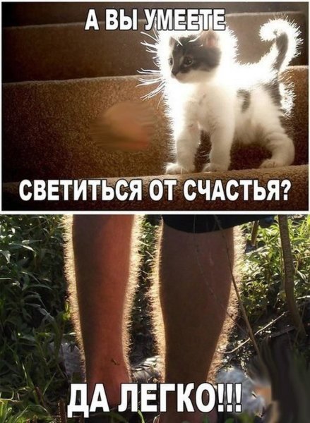 Смешные картинки картинки с надписями