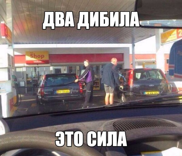 Приколы фото с надписями