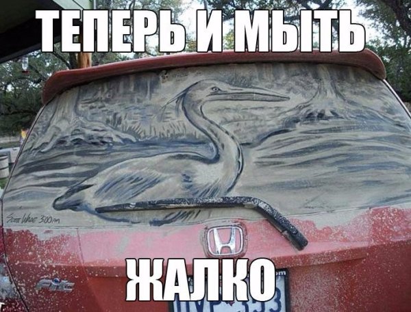 Приколы рисунки с надписями