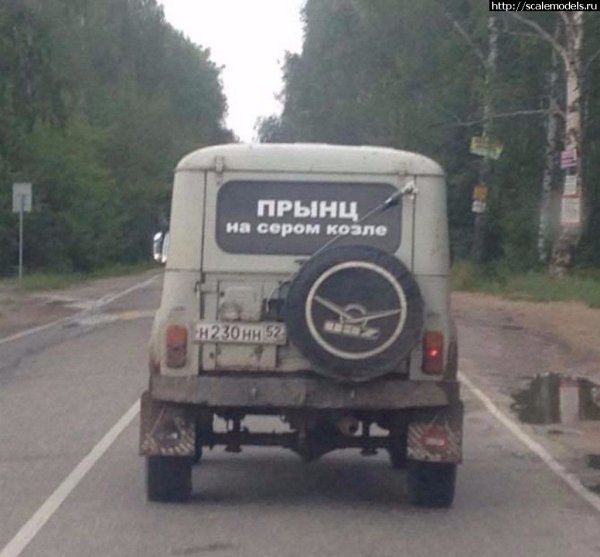 Смешные ототс надписями