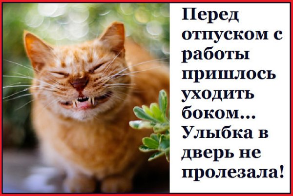 Последний день перед отпуском