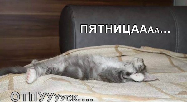 Пятница отпуск