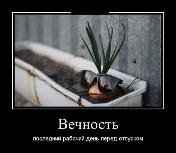 Перед отпуском картинки