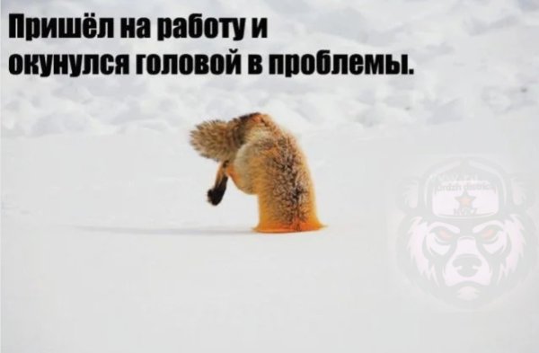 С первым рабочим днем