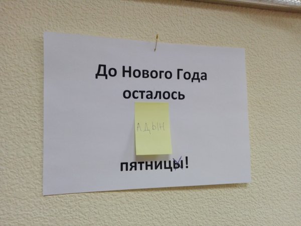 С последним рабочим днем в этом году прикольные