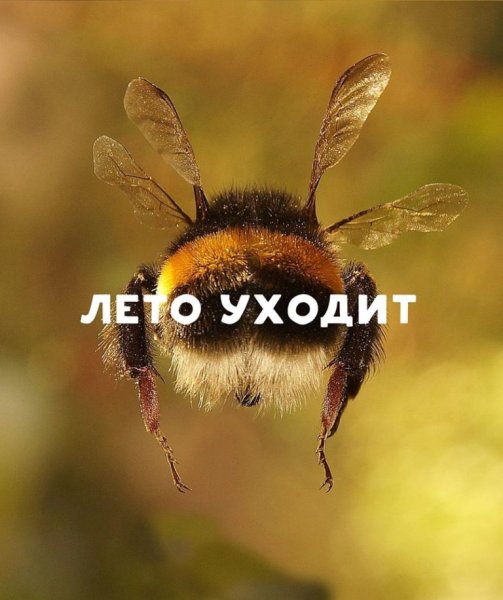 Лето уходит