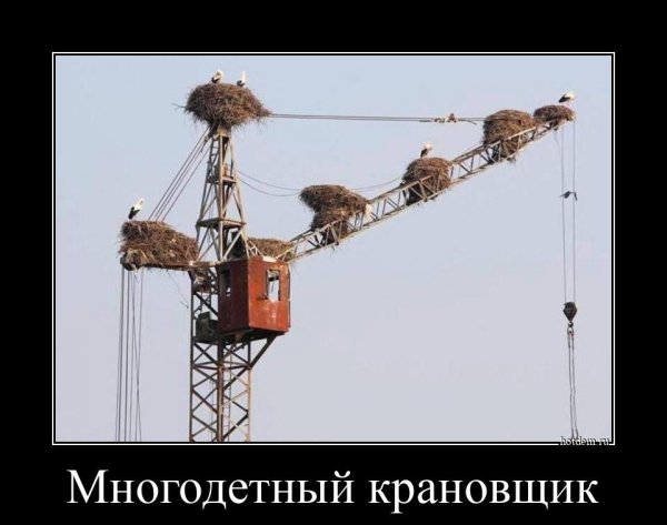 Стройка юмор