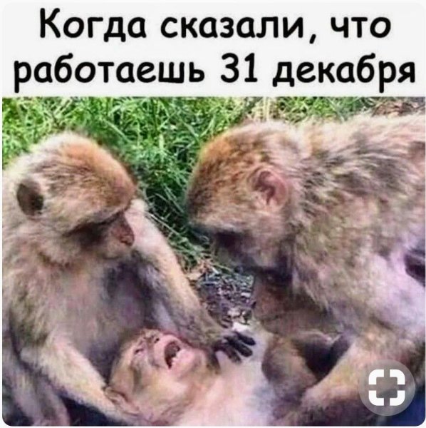Мартышка Мем