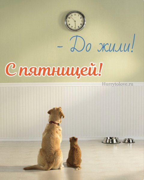 Еще немного и выходные