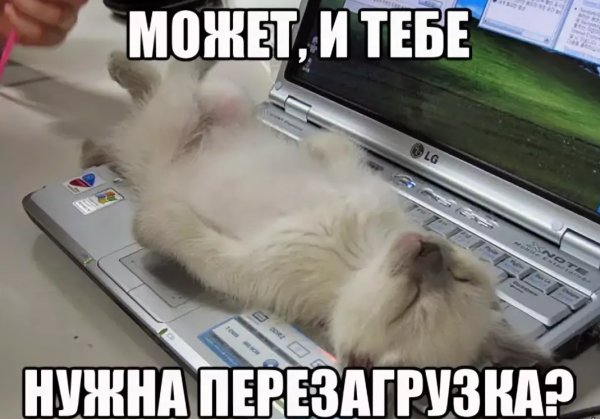 Сделай паузу в работе