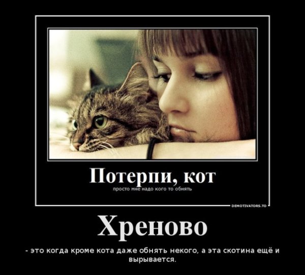 Демотиваторы с котом и девушками