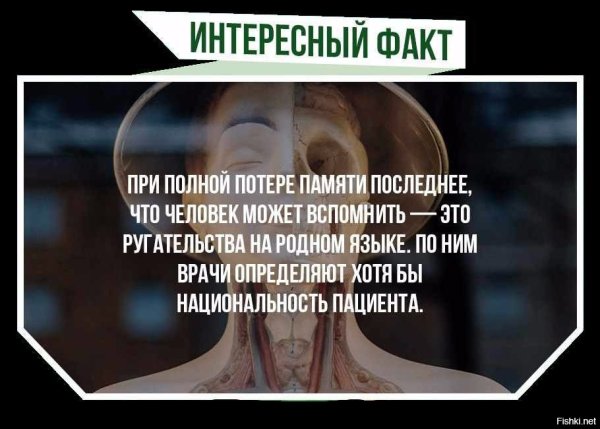 Анекдоты про потерю памяти