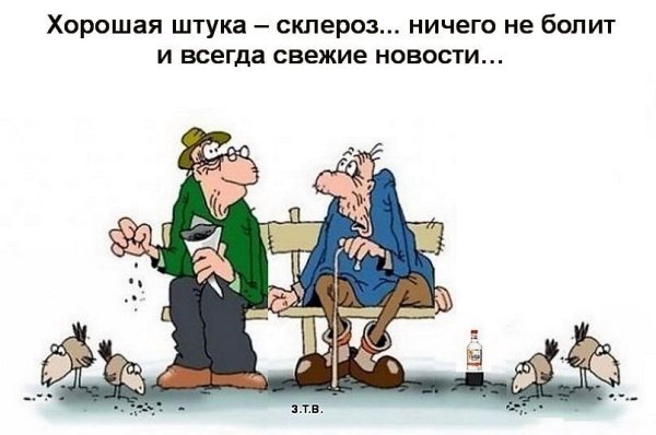 Шутки про склероз