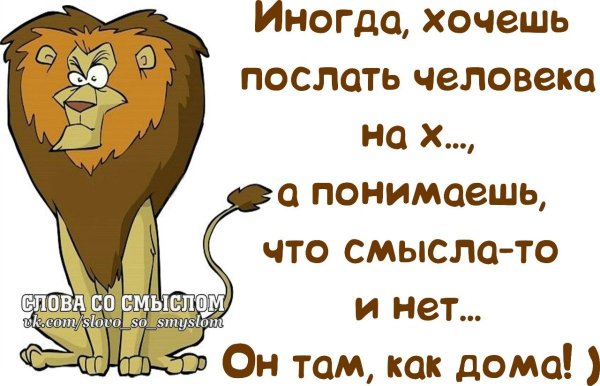 Приколы афоризмы в картинках