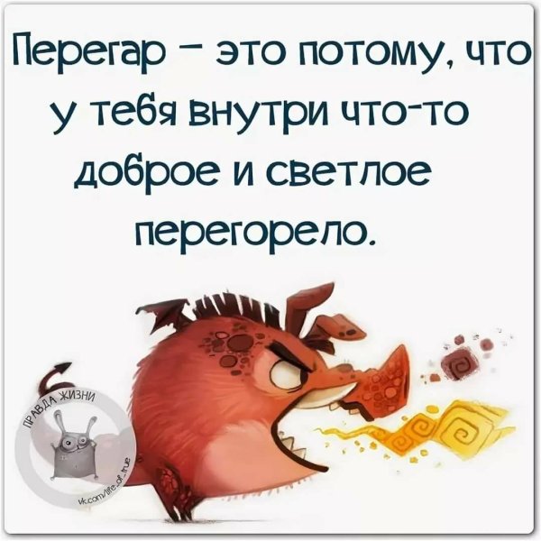 Смешные цитаты со смыслом