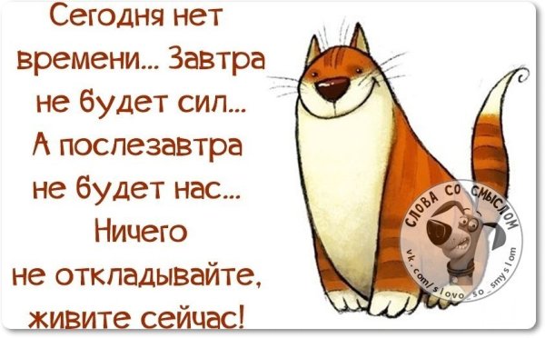 Веселые афоризмы в картинках