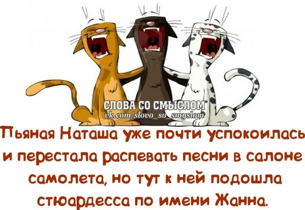 Веселые цитаты в картинках