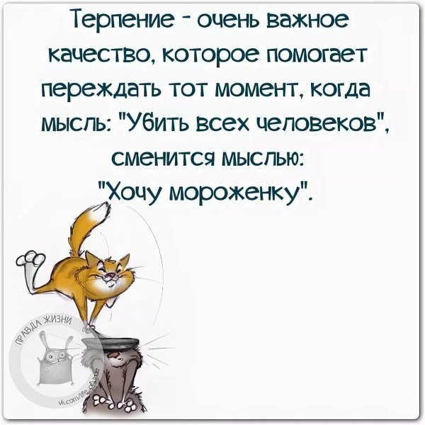 Прикольные высказывания о жизни