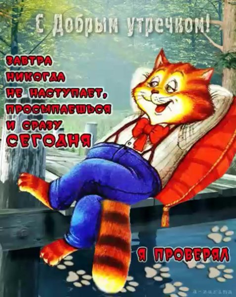 Гифки с добрым утром смешные