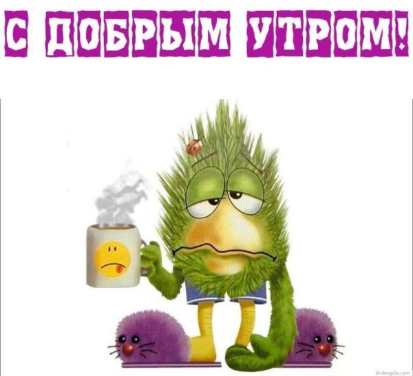 Смешные пожелания с добрым утром